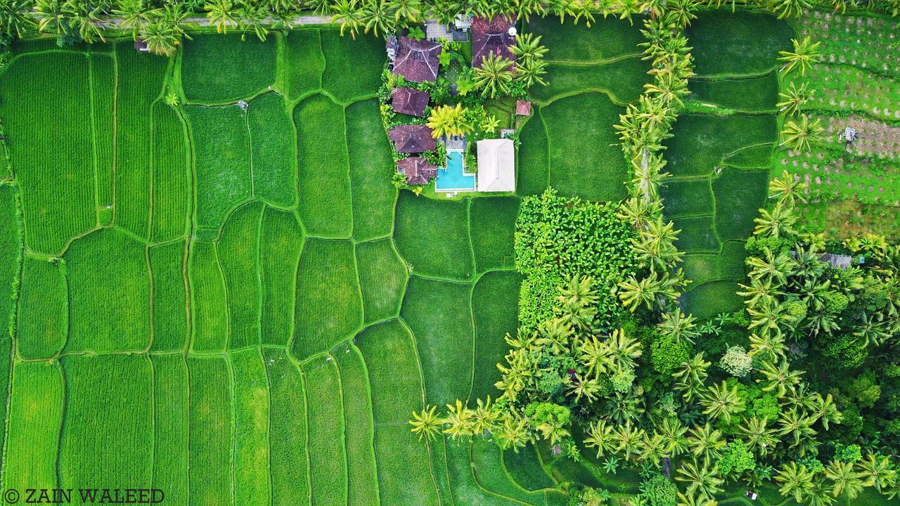 Hati Padi Cottages Ubud Dış mekan fotoğraf