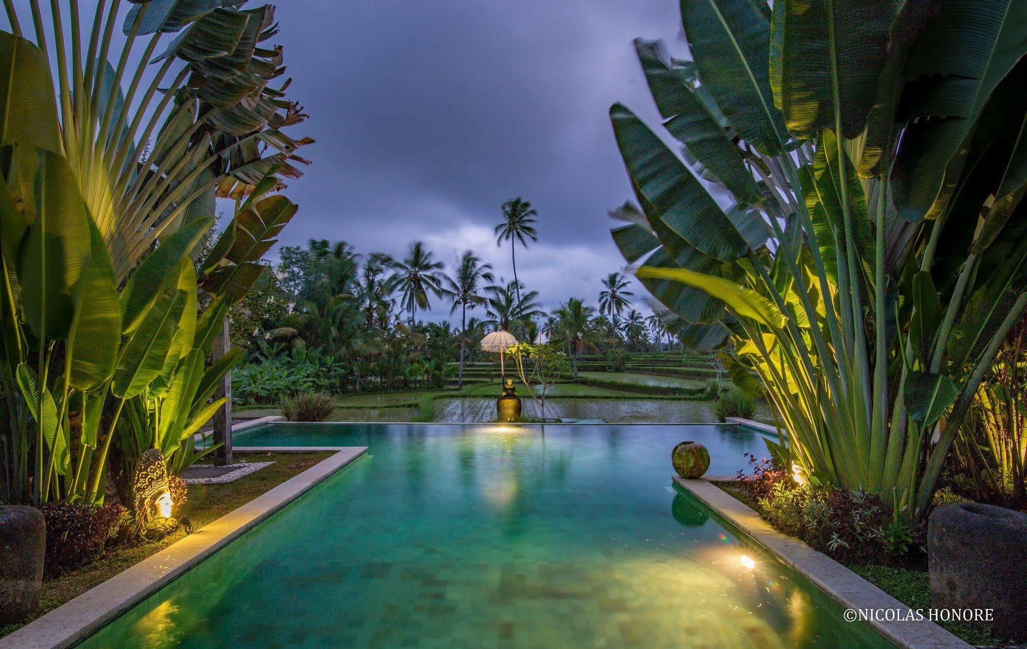 Hati Padi Cottages Ubud Dış mekan fotoğraf