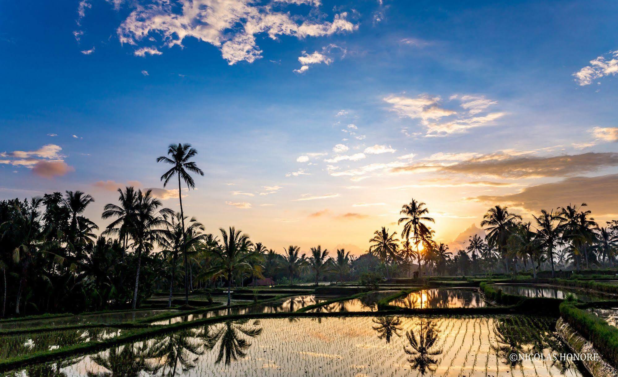 Hati Padi Cottages Ubud Dış mekan fotoğraf