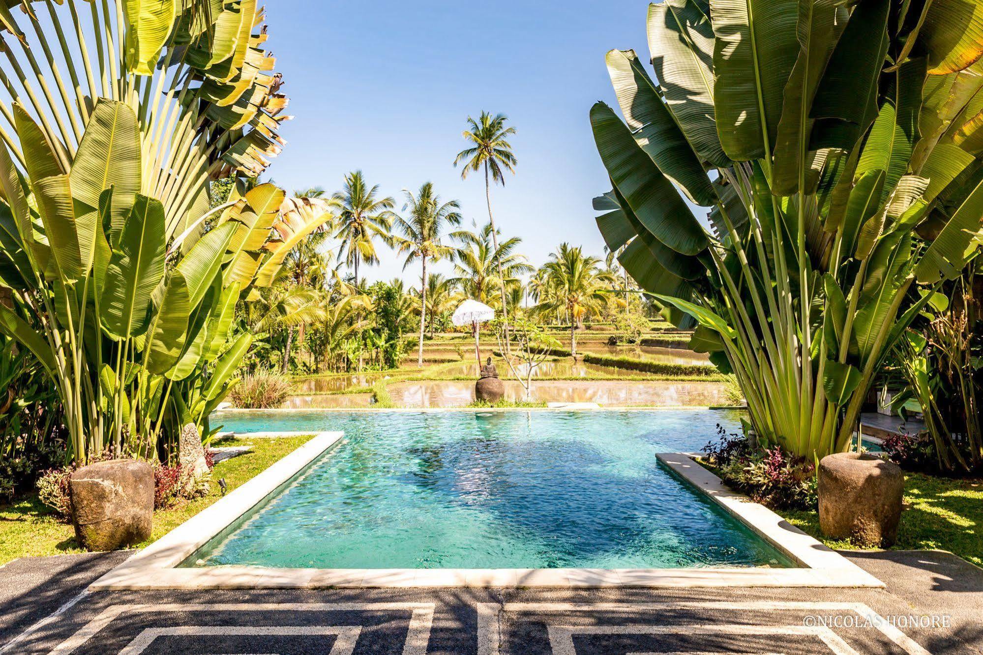 Hati Padi Cottages Ubud Dış mekan fotoğraf
