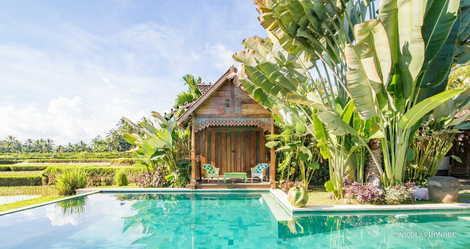 Hati Padi Cottages Ubud Dış mekan fotoğraf